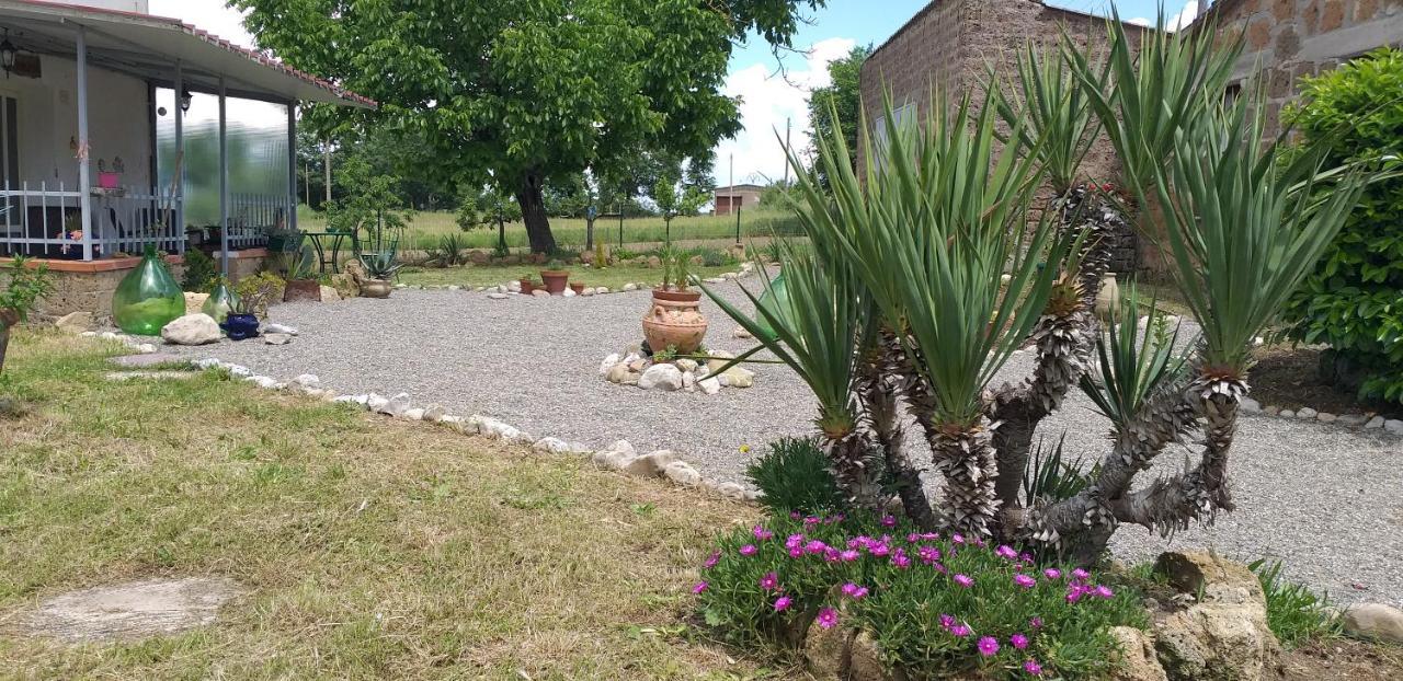 La Cascina Della Grotta Di Tufo Bed & Breakfast San Valentino  ภายนอก รูปภาพ